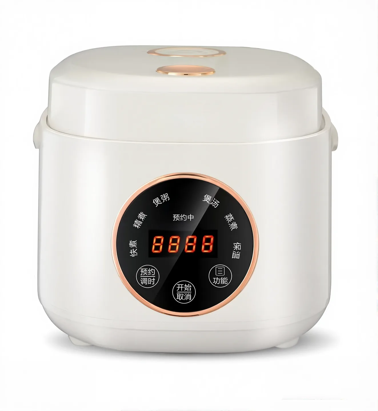 Compact Digital Rice Cooker
